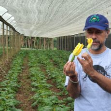 FAZENDA SANTA ADELAIDE