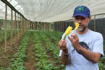FAZENDA SANTA ADELAIDE