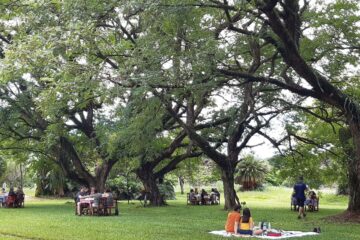 FAZENDA TOZAN EM CAMPINAS